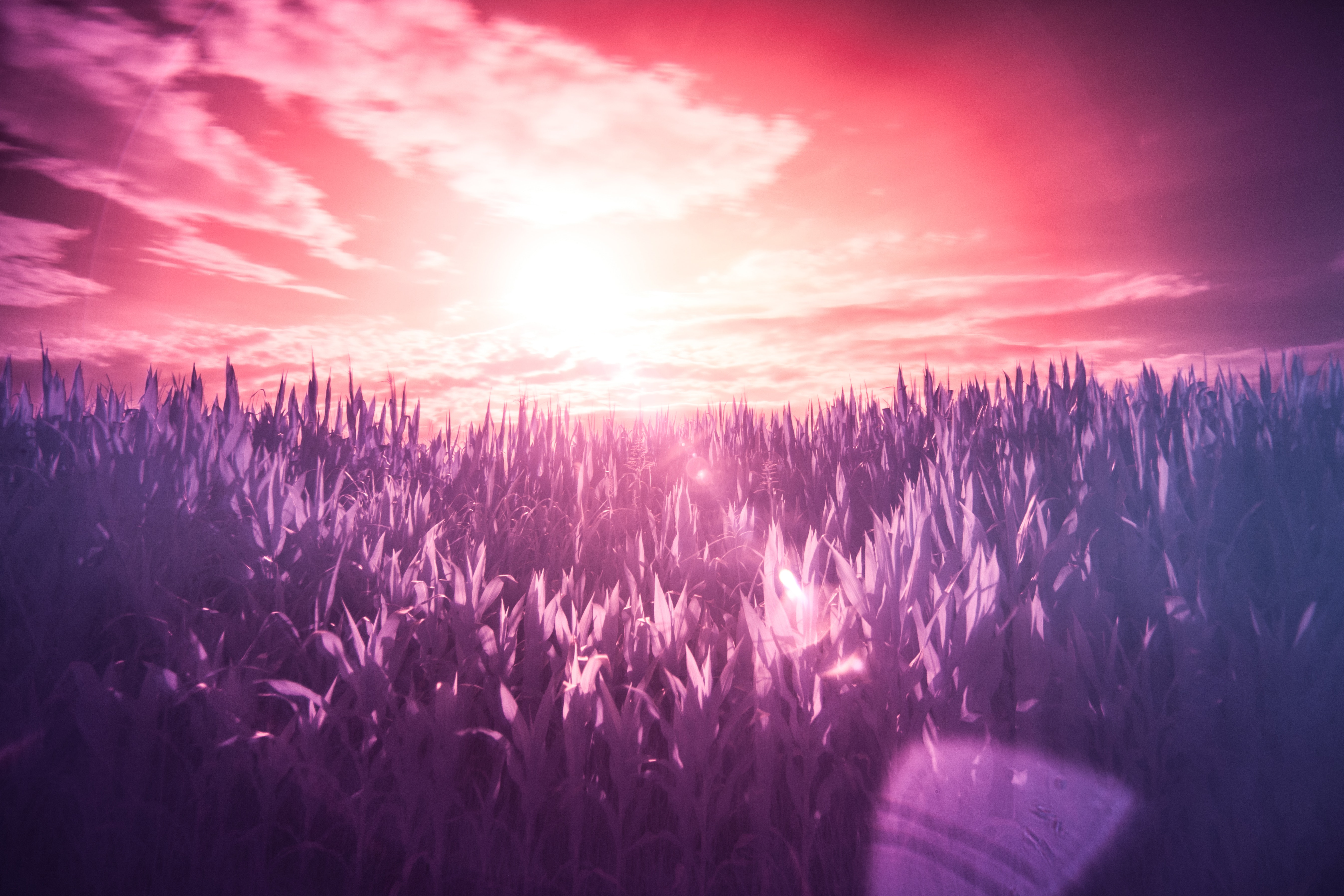 dream-filter-infrared-2220